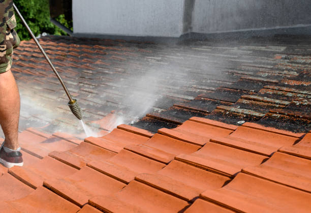 Best Affordable Power Washing  in Easton, PA