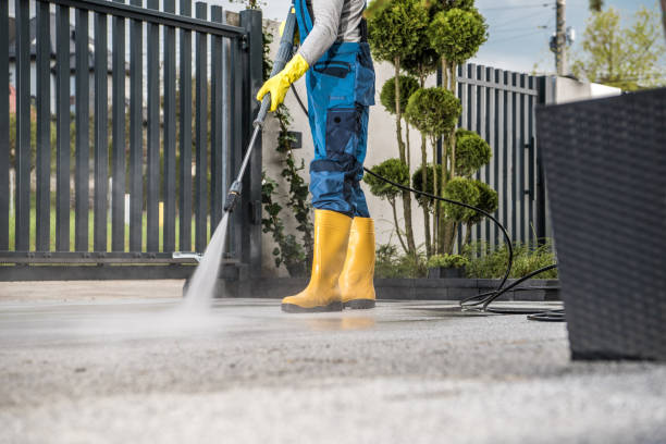 Best Roof Power Washing Services  in Easton, PA