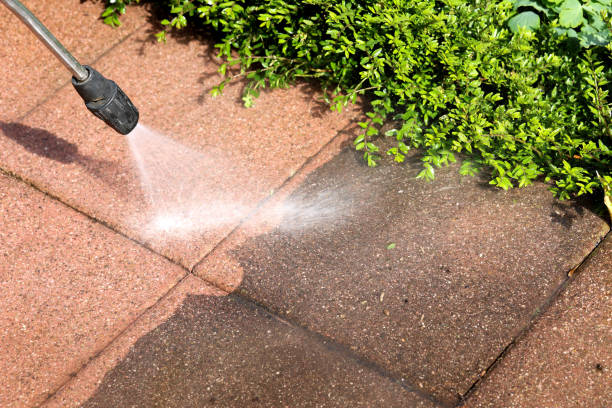 Best Residential Pressure Washing Services  in Easton, PA